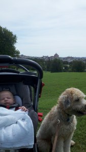 2011-09-16_11-58-50_991