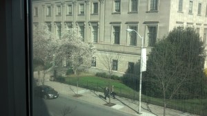 IMG_20130402_094759_189