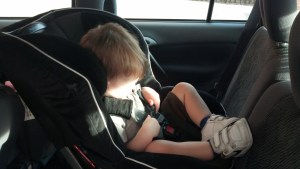 IMG_20130411_081805_230