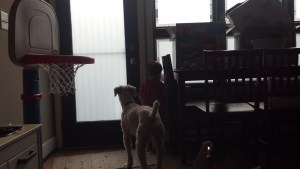 IMG_20130416_183720_894