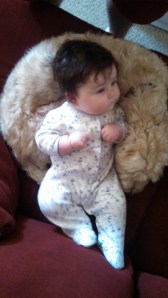 IMG_20130907_112505_865