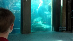 IMG_20130919_112230_472