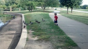 IMG_20131003_101438_333