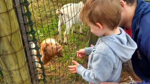 IMG_20131019_100954_599