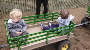 IMG_20131019_103117_112