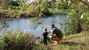 IMG_20131020_160023_850