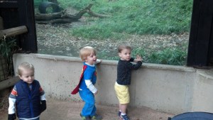 IMG_20131031_105514_952