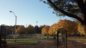 IMG_20131101_171550_715