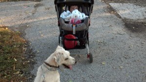 IMG_20131101_171625_694