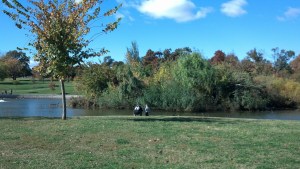 IMG_20131103_102826_825