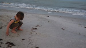 IMG_20140320_075400_693