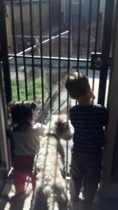 IMG_20140410_165508_131