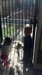 IMG_20140410_165518_300