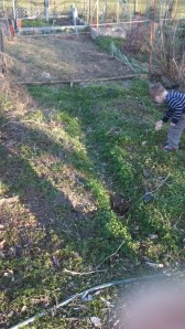 IMG_20140410_182147_355