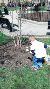 IMG_20140417_110155_042