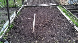 IMG_20140426_120414_971