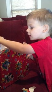 IMG_20140630_175630_441