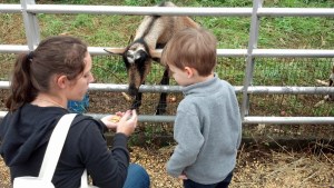 IMG_20141016_102817_924