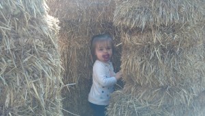 IMG_20141018_103202_398