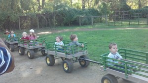 IMG_20141018_103912_734