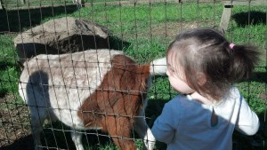 IMG_20141018_104325_869