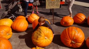 IMG_20150926_113918210