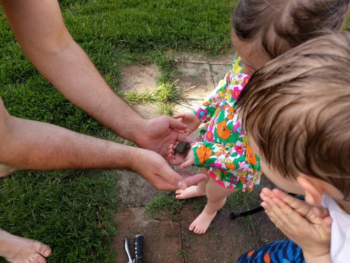 img_20160528_180224_1