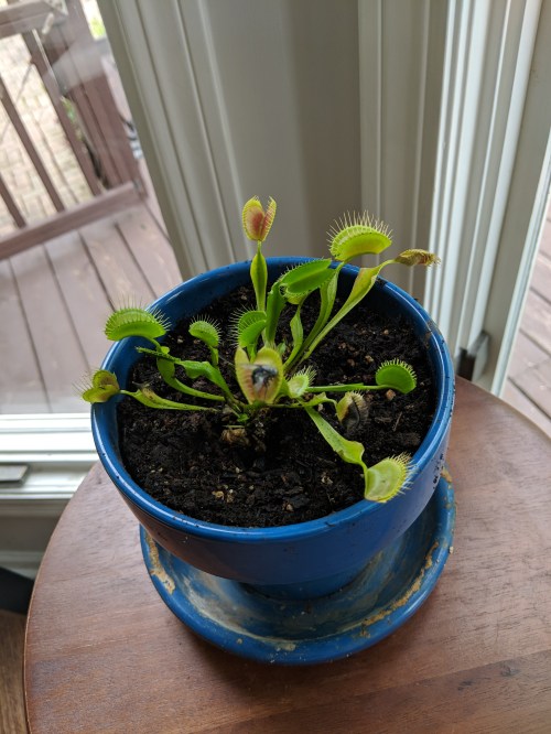 Maker:L,Date:2017-9-9,Ver:5,Lens:Kan03,Act:Kan02,E-Y